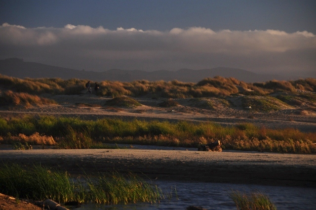 Morro Bay wetlands